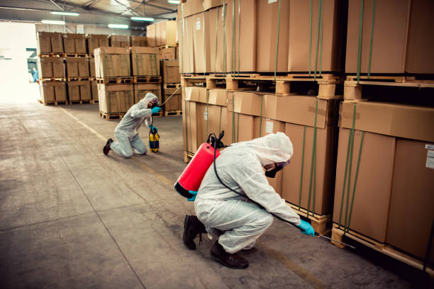 Pest Prevention Services in Sangaree, SC